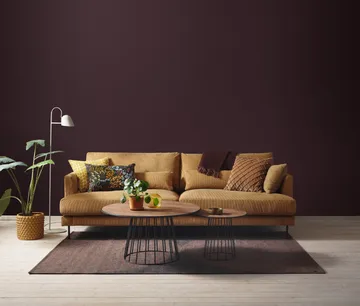 Bredhult sofa - Jump 1959 Honey - 1898