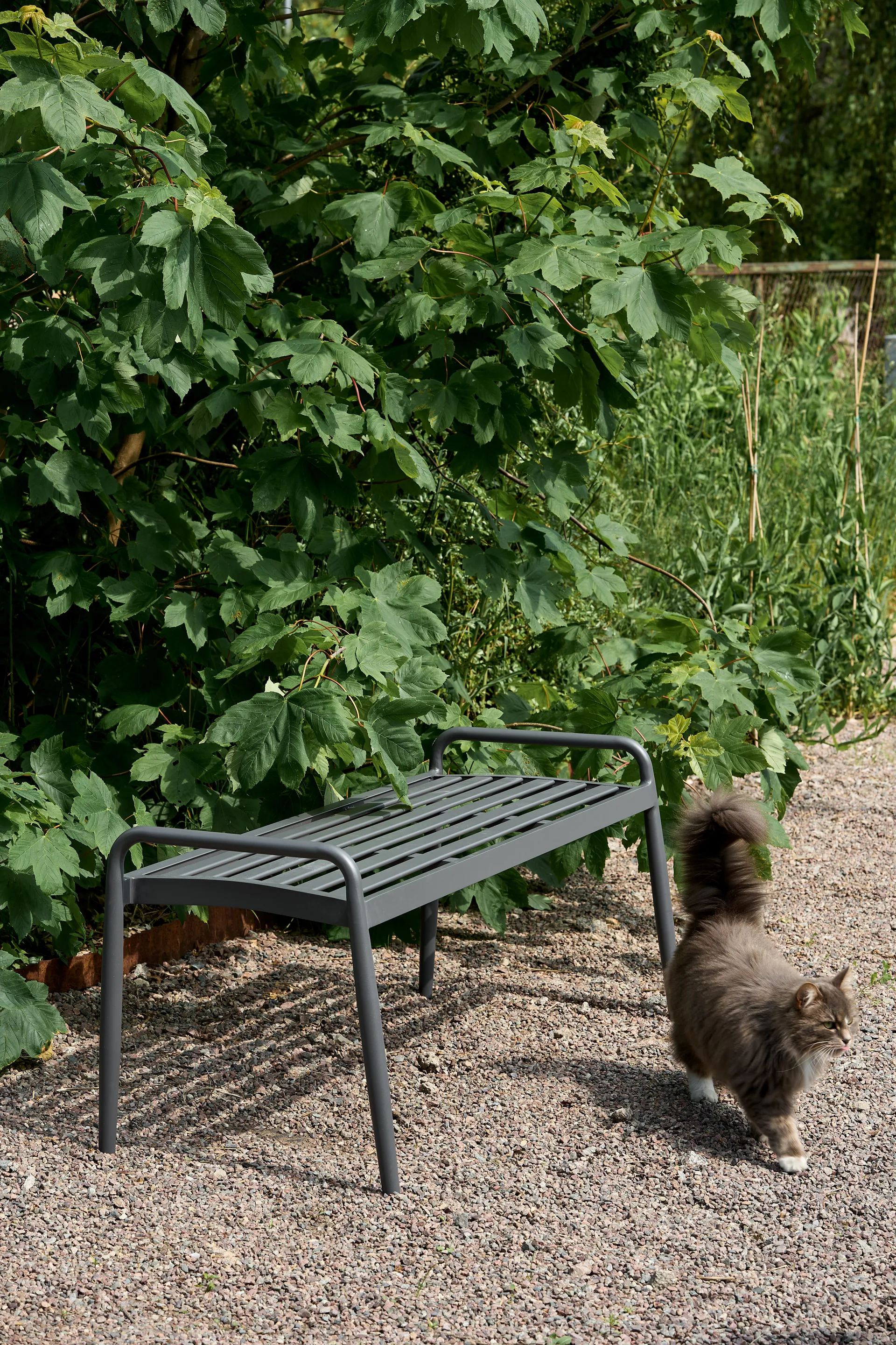 Messina bænk 51x124 cm, Anthracite 1898