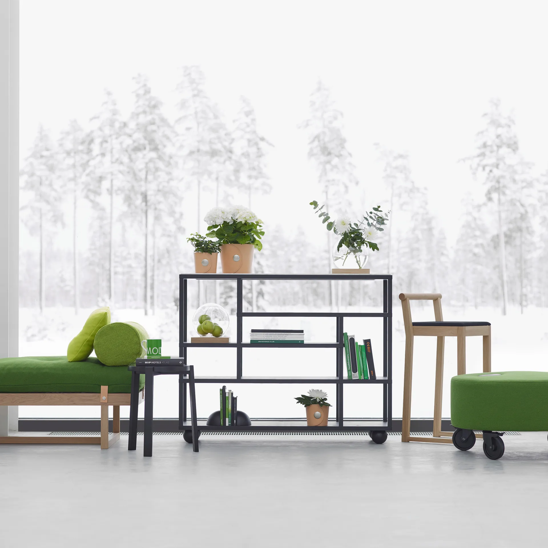 Show hylde, Sortbejdset eg A2