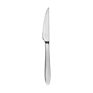 Gastro steakkniv - Rustfrit stål - Aida