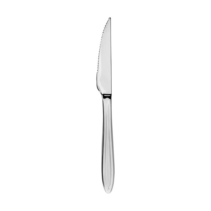 Gastro steakkniv - Rustfrit stål - Aida