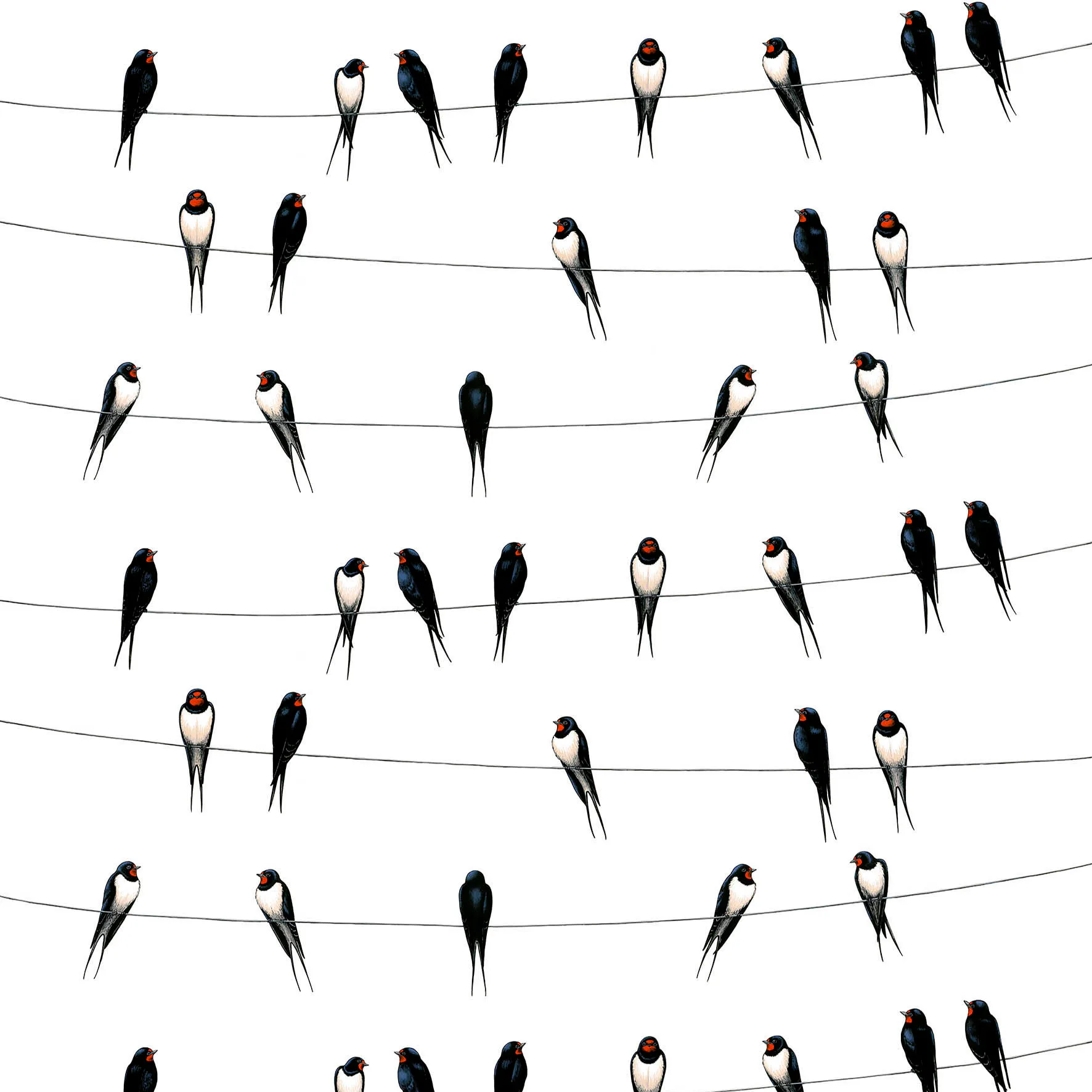 Ladusvalor stof, hvid Arvidssons Textil