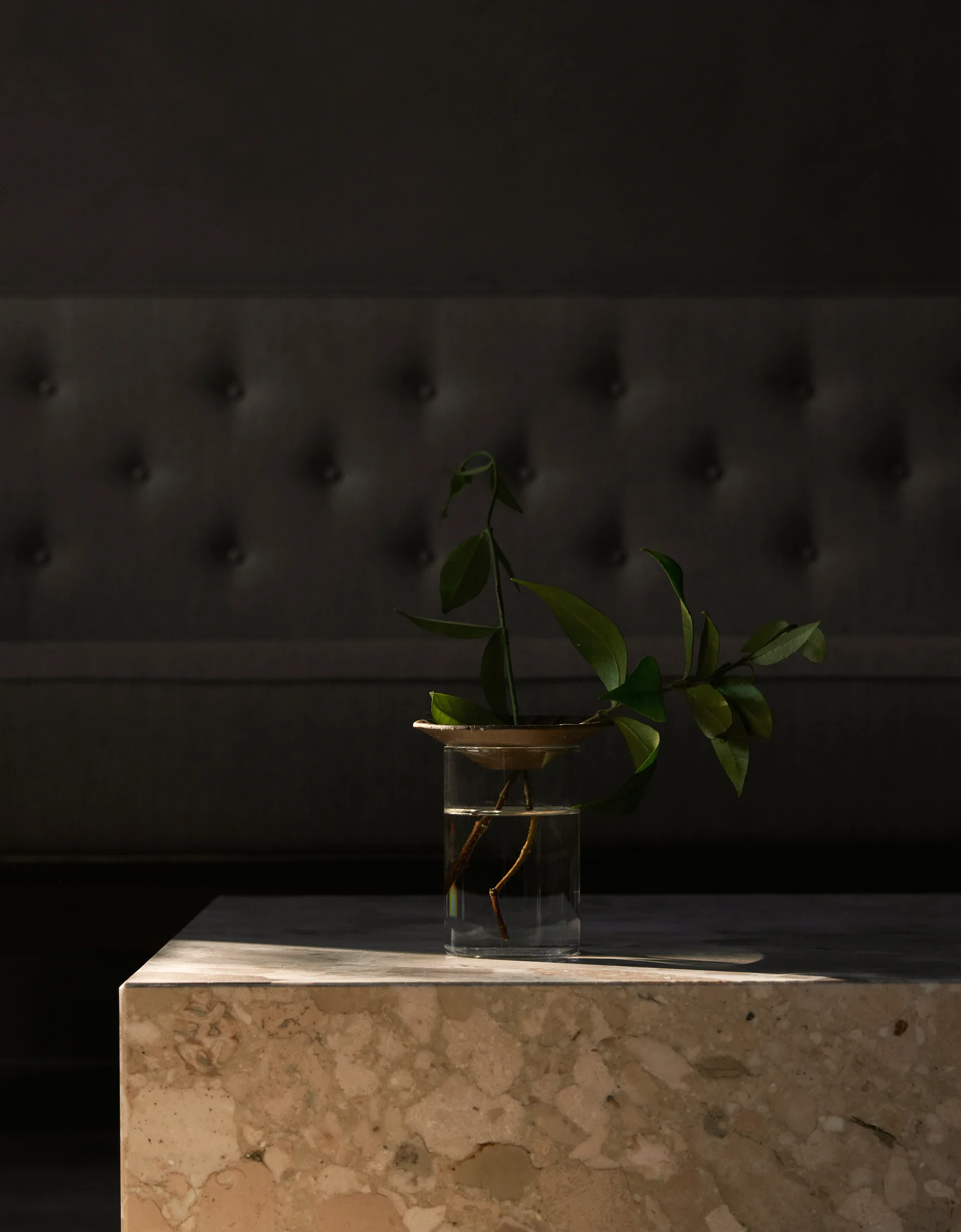 Cresco Propagation vase 2 dele, Brun/Klar Audo Copenhagen