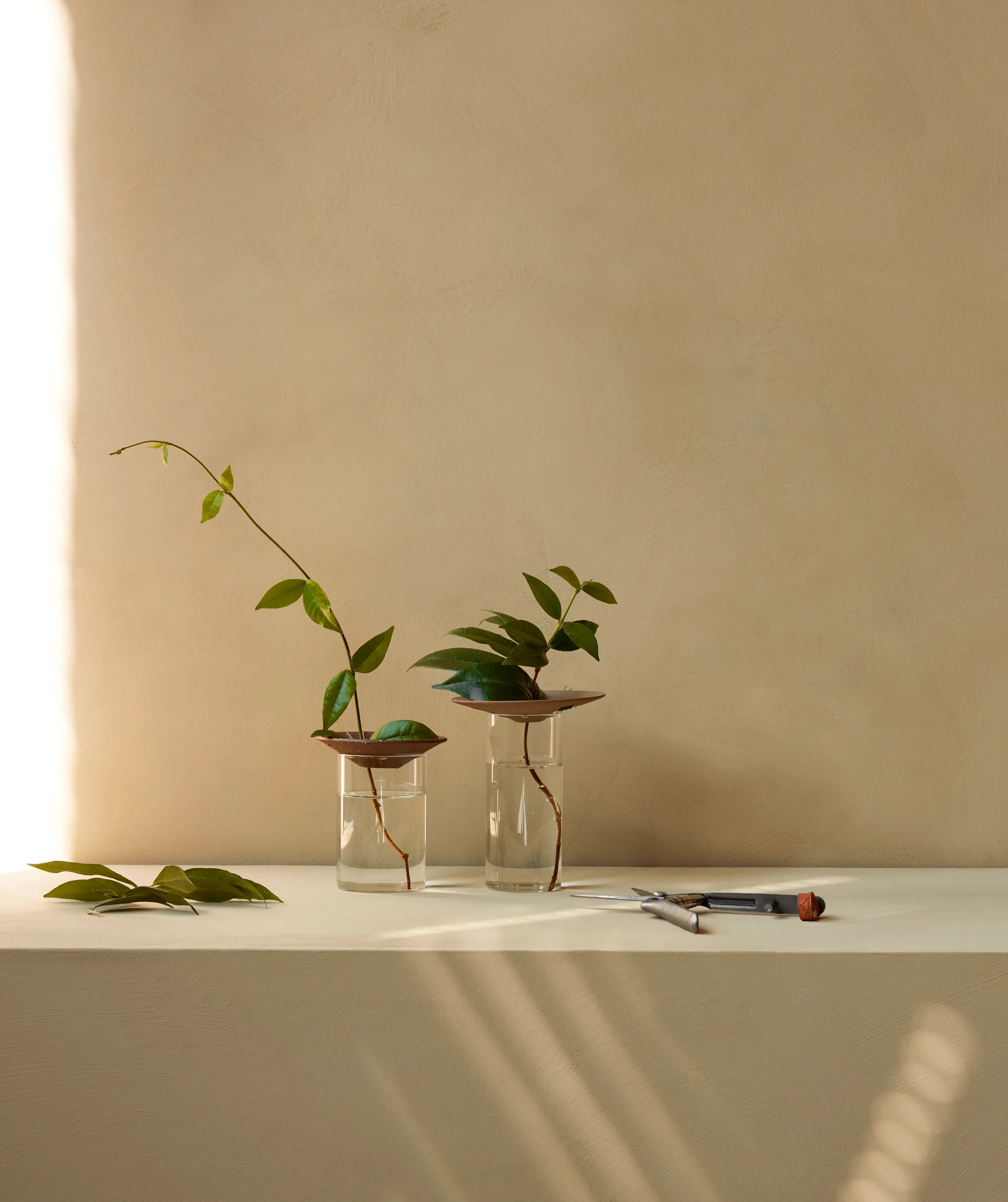 Cresco Propagation vase 2 dele, Brun/Klar Audo Copenhagen