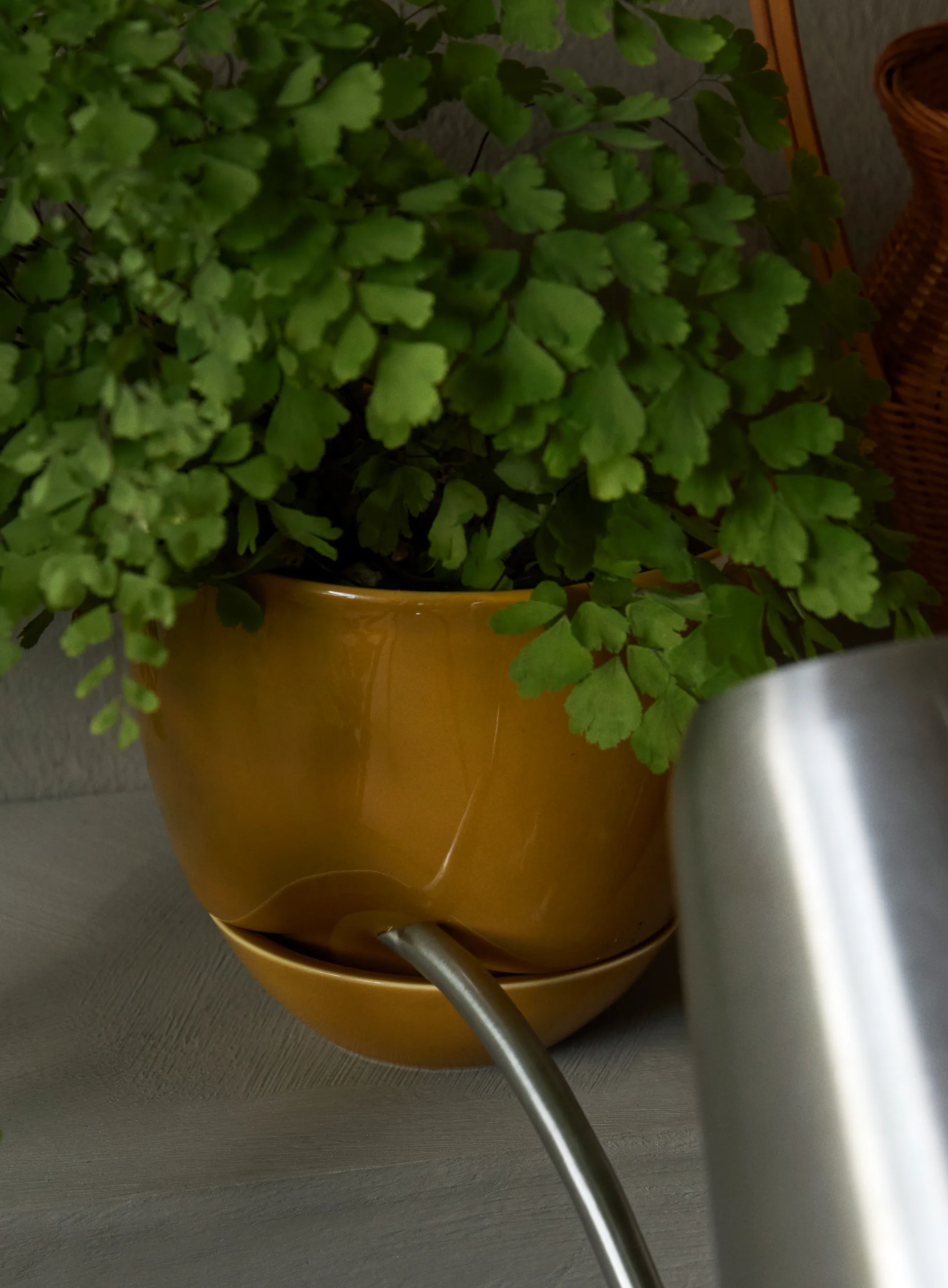 Hydrous krukke Ø12 cm, Ochre Audo Copenhagen