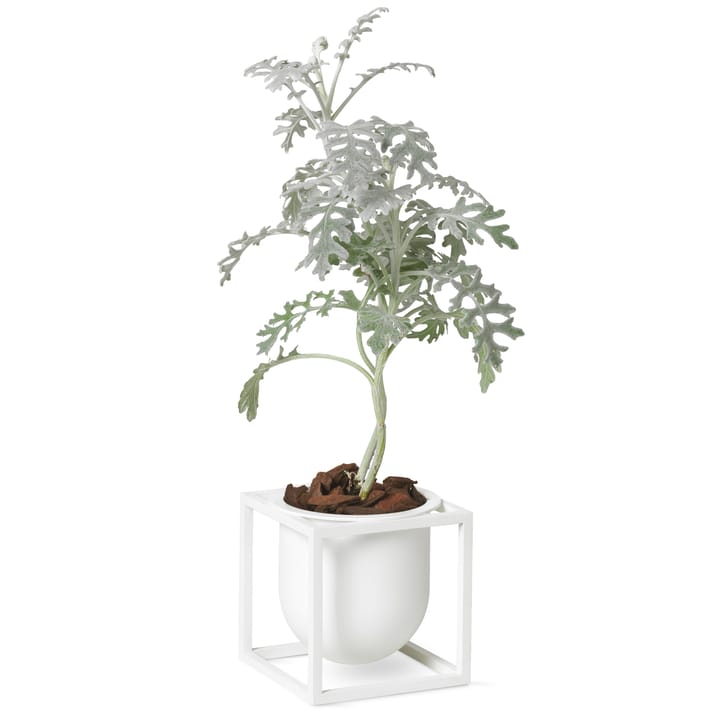 Kubus blomsterkrukke 10 cm, Hvid Audo Copenhagen