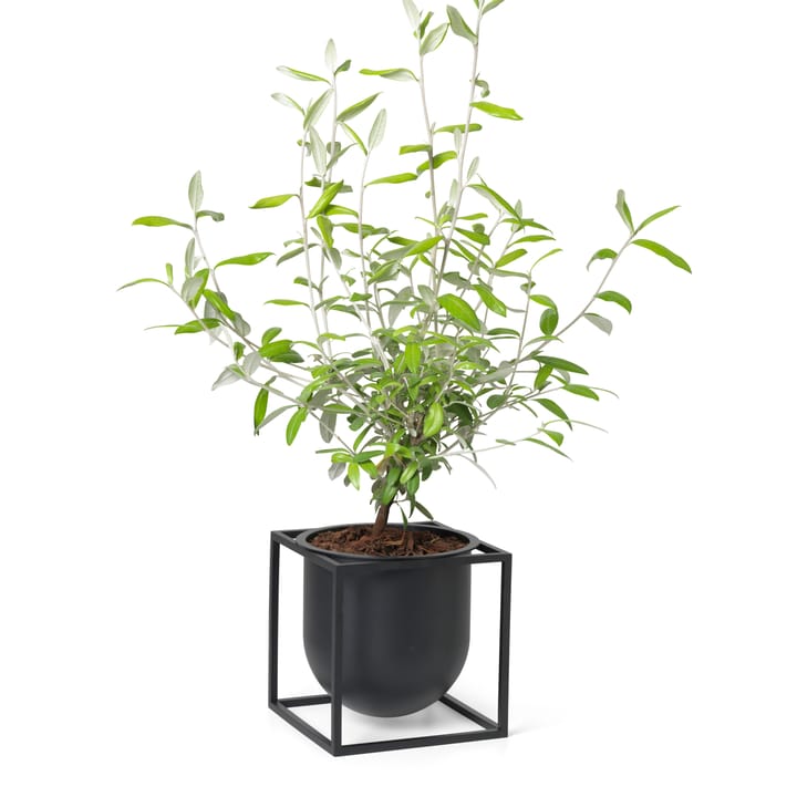 Kubus blomsterkrukke 14 cm, Sort Audo Copenhagen