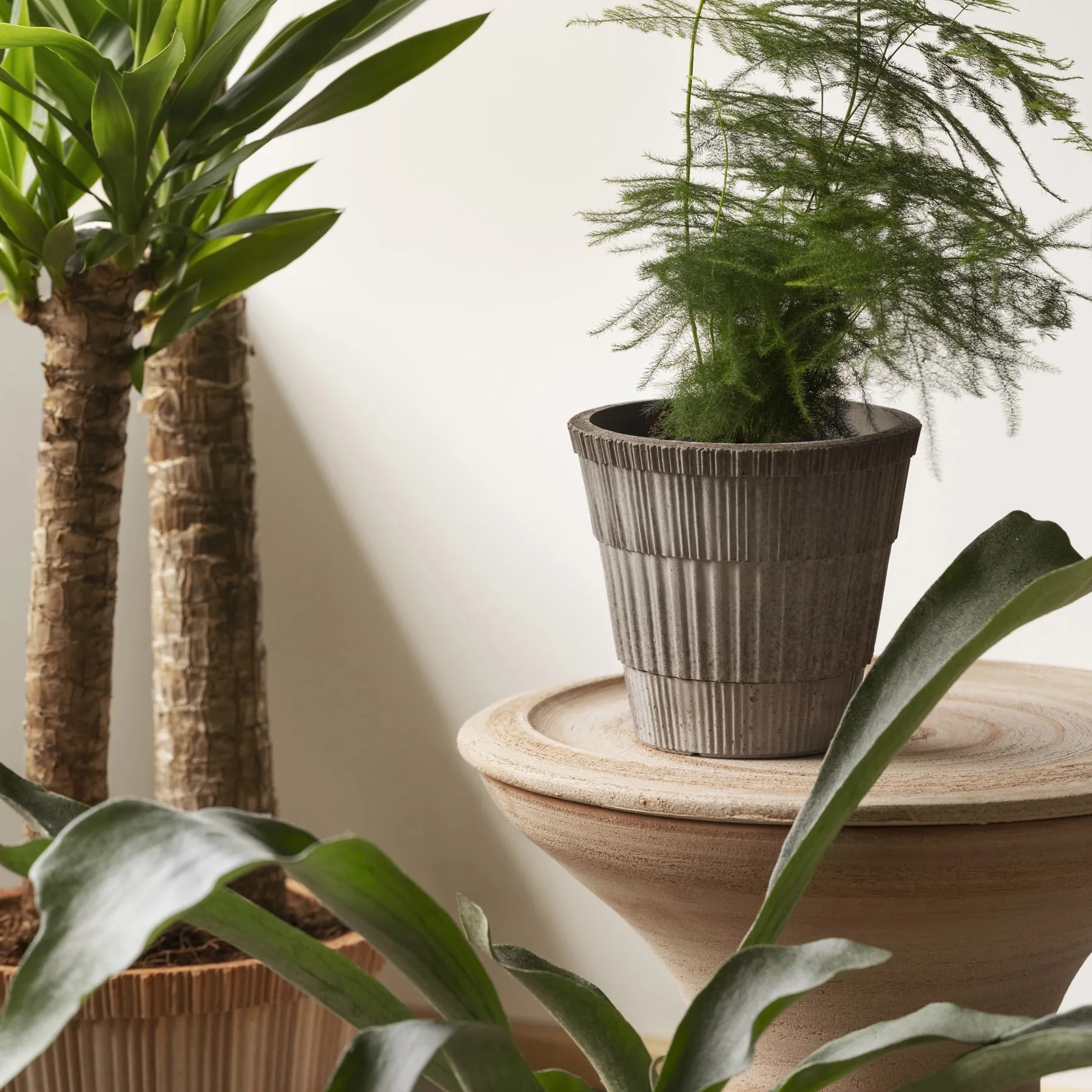 Atlas raw krukke med fad, Grey, Ø18 cm Bergs Potter