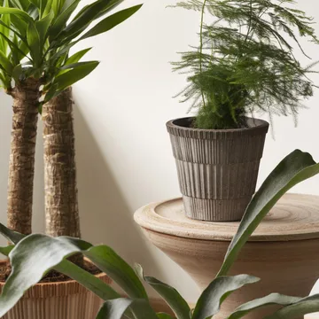 Atlas raw krukke med fad - Grey, Ø18 cm - Bergs Potter