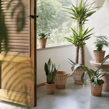 Atlas raw krukke med fad - Rosa, Ø18 cm - Bergs Potter