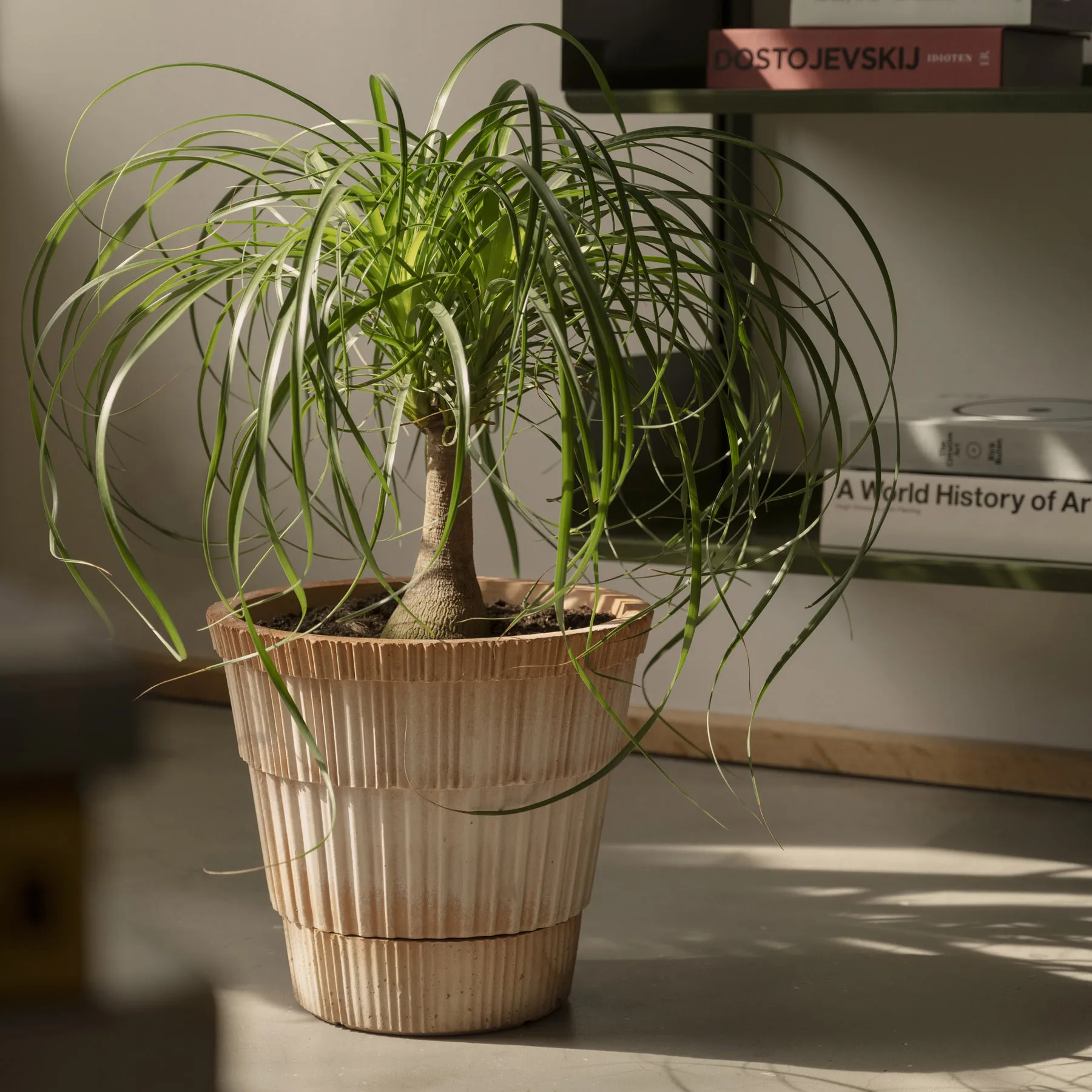 Atlas raw krukke med fad, Rosa, Ø25 cm Bergs Potter