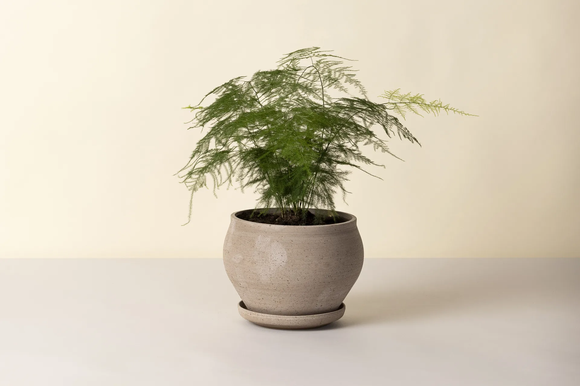 Delphi krukke med underskål 2 dele, Grey, Ø24 cm, low Bergs Potter