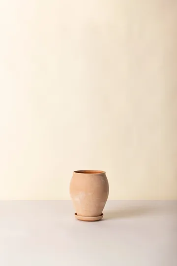 Delphi krukke med underskål 2 dele - Lyserød, Ø22 cm, tall - Bergs Potter