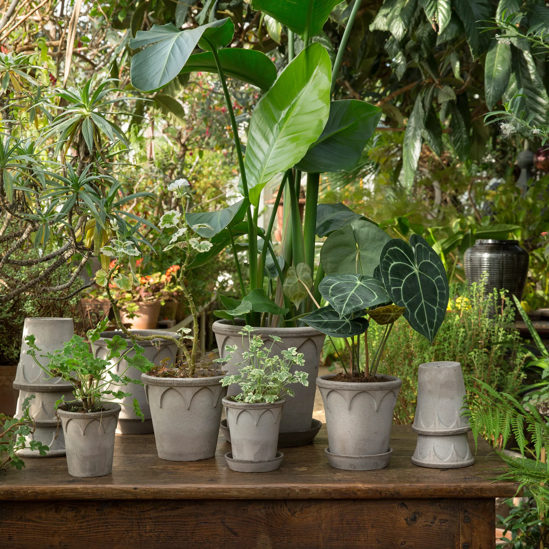 Elizabeth urtepotteskjuler Ø14 cm, Grey Bergs Potter