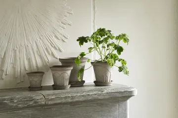 Fleur krukke med underskål 2 dele - Grey, Ø12 cm - Bergs Potter