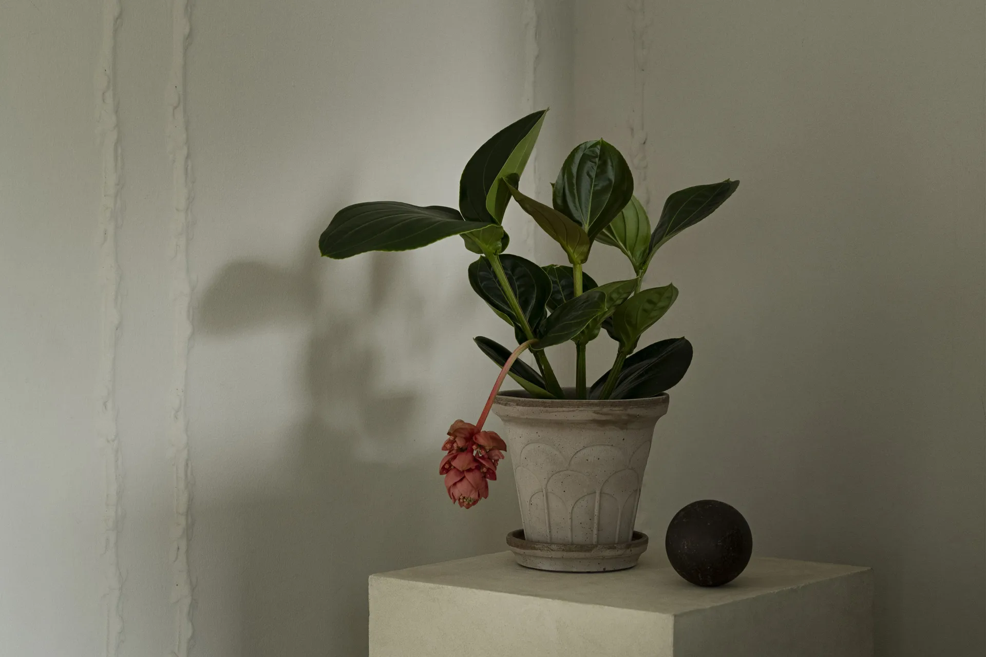 Fleur krukke med underskål 2 dele, Grey, Ø18 cm Bergs Potter