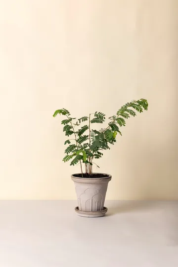 Fleur krukke med underskål 2 dele - Grey, Ø21 cm - Bergs Potter