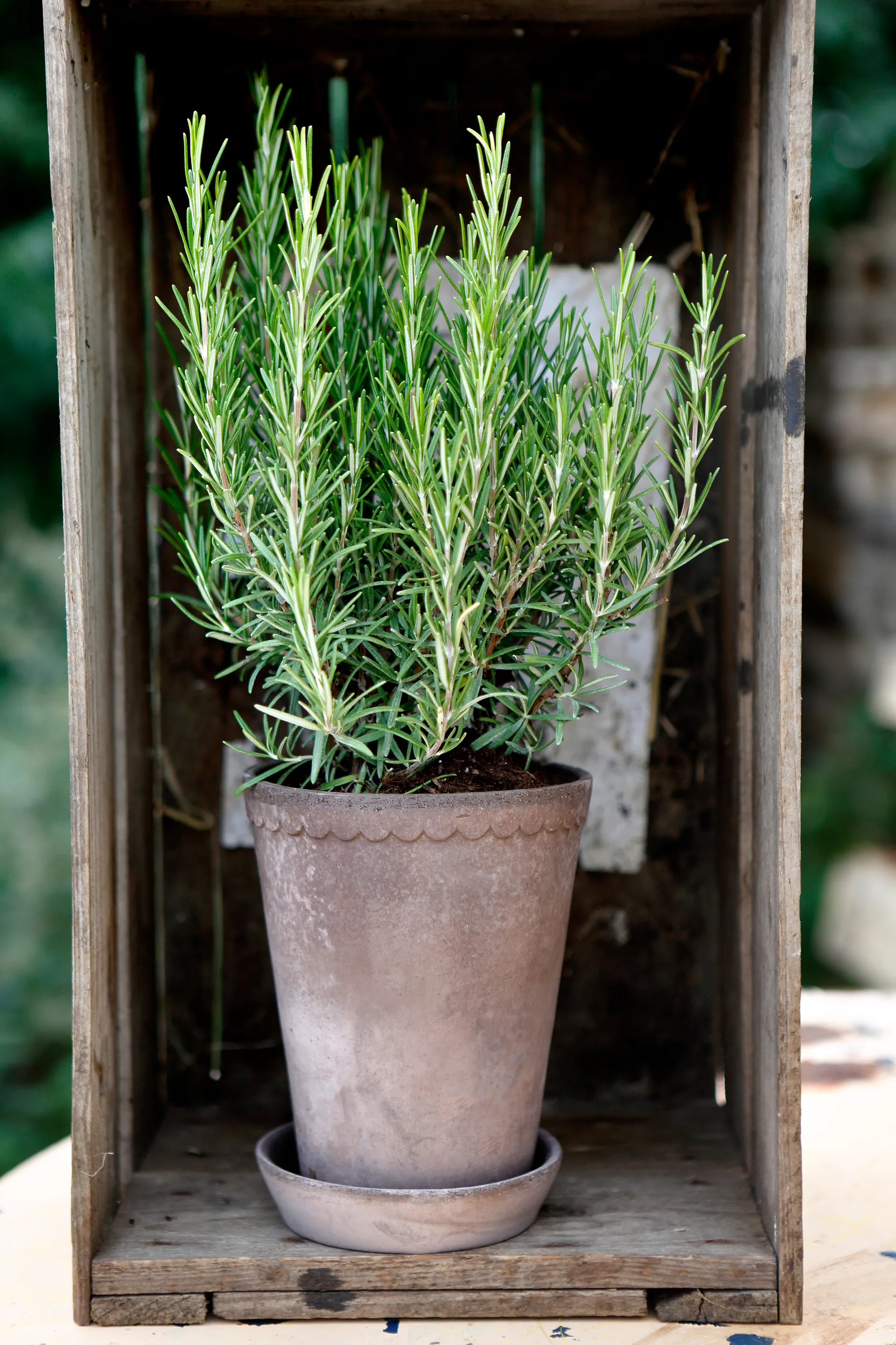 Helena krukke høj Ø14 cm, Grå Bergs Potter