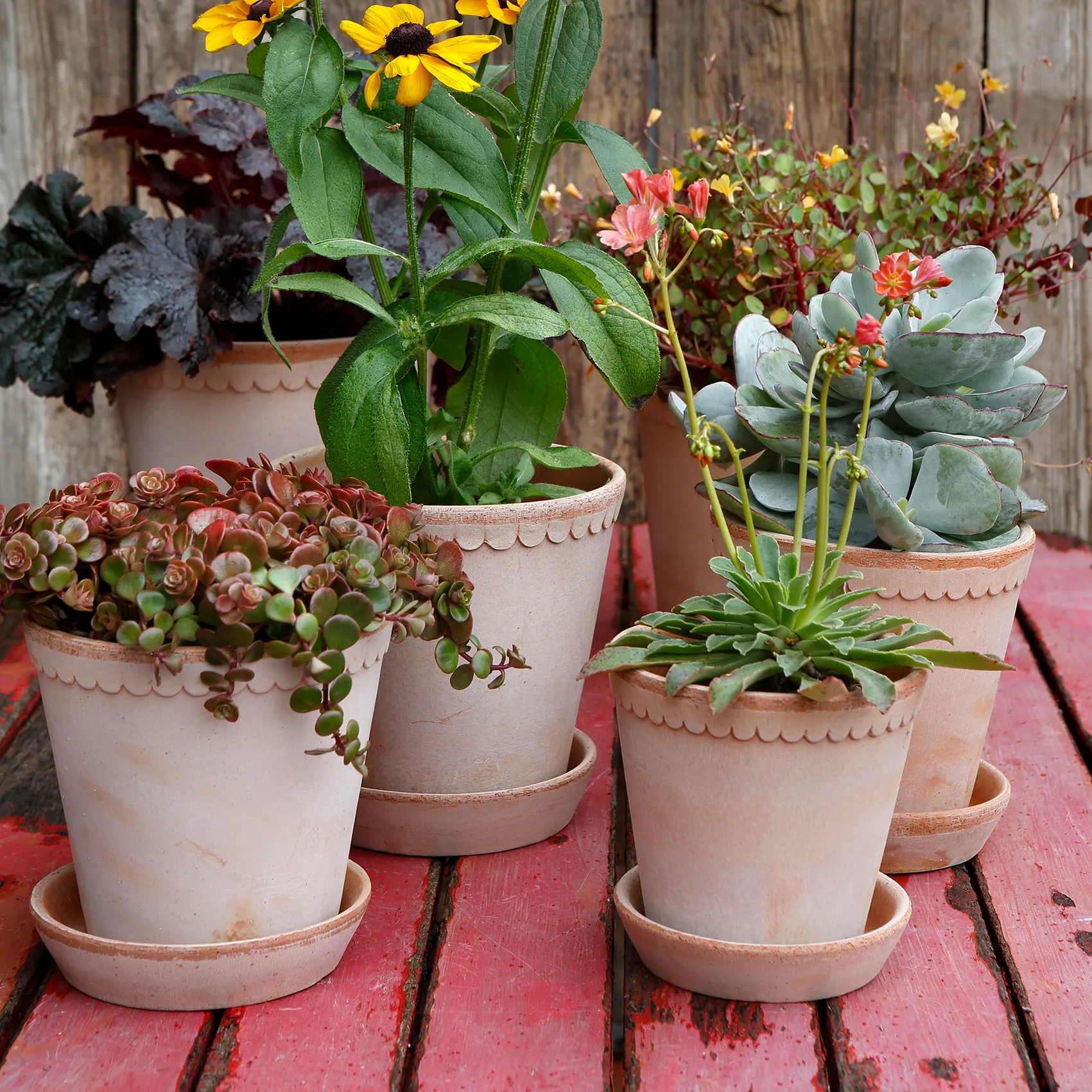 Helena urtepotte Ø10 cm, Lyserød Bergs Potter