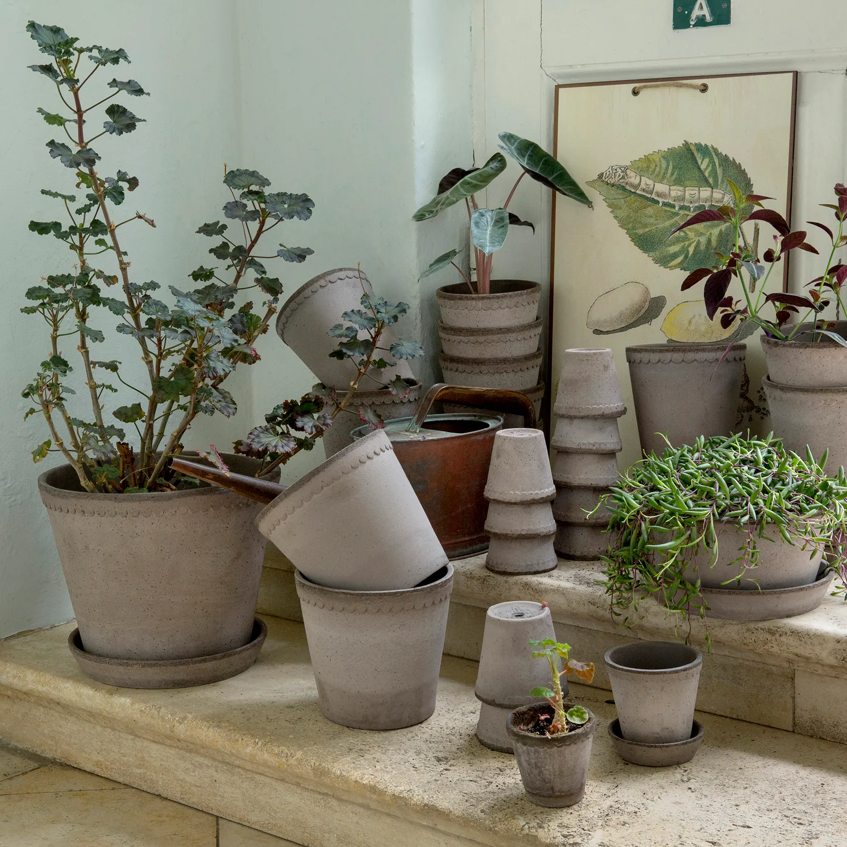 Helena urtepotte Ø18 cm, Grå Bergs Potter