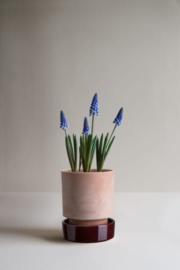 Hoff krukke - Ø14 cm, Raw Rosa-Deep Burgundy - Bergs Potter