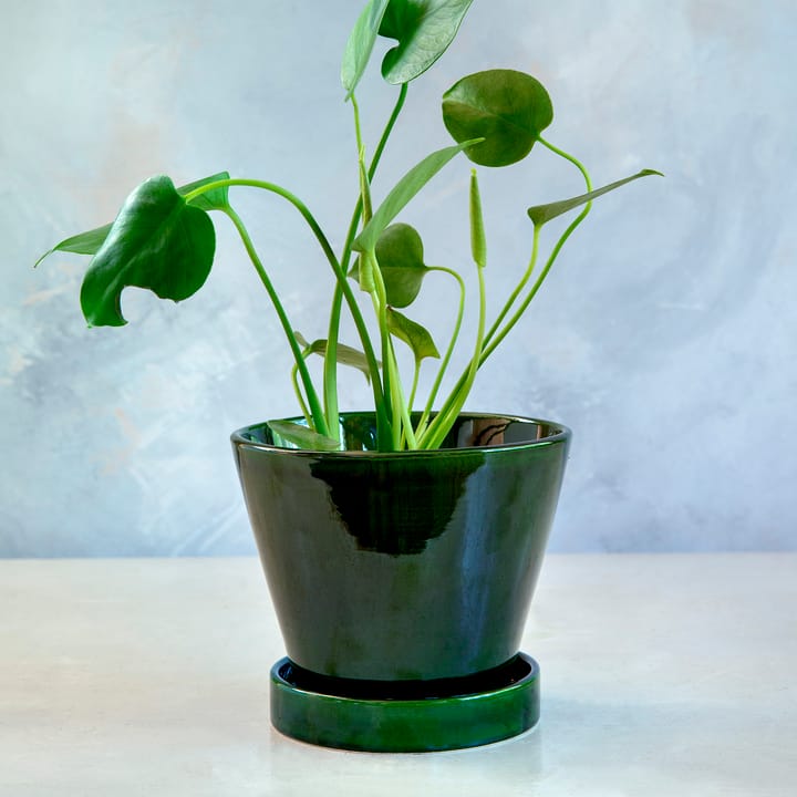 Julie krukke glaseret Ø19 cm, Green emerald Bergs Potter