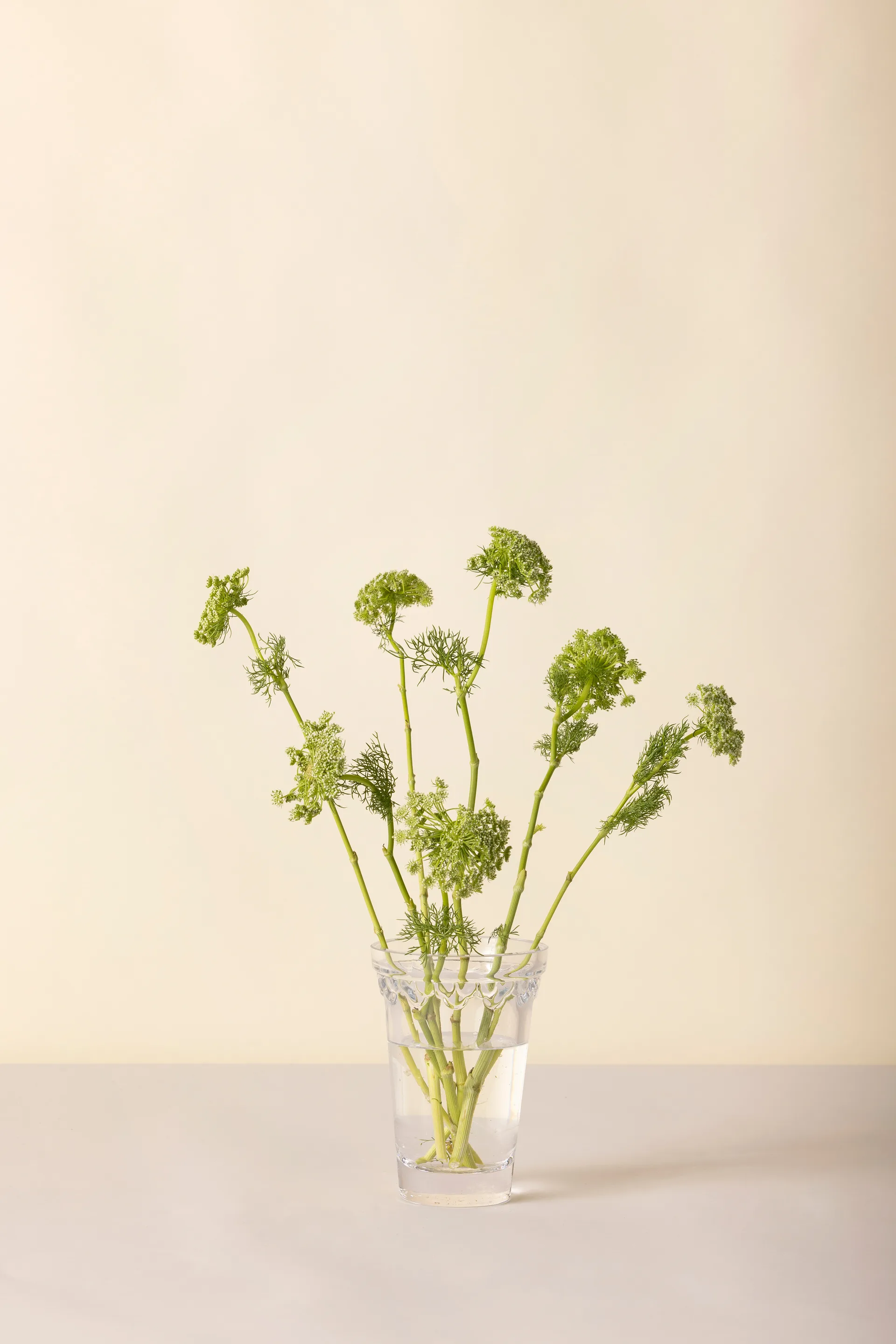 København vase, Klar, 18,5 cm Bergs Potter