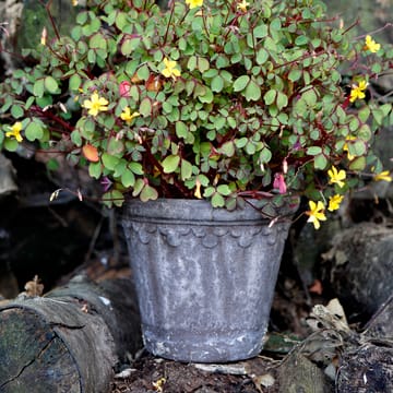 Københavner blomsterkrukke Ø16 cm - Grå - Bergs Potter