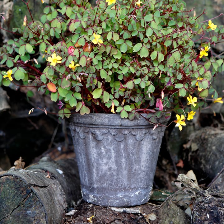 Københavner blomsterkrukke Ø16 cm, Grå Bergs Potter
