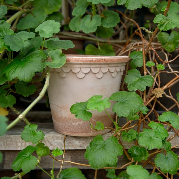 Københavner blomsterkrukke Ø16 cm, Pink Bergs Potter