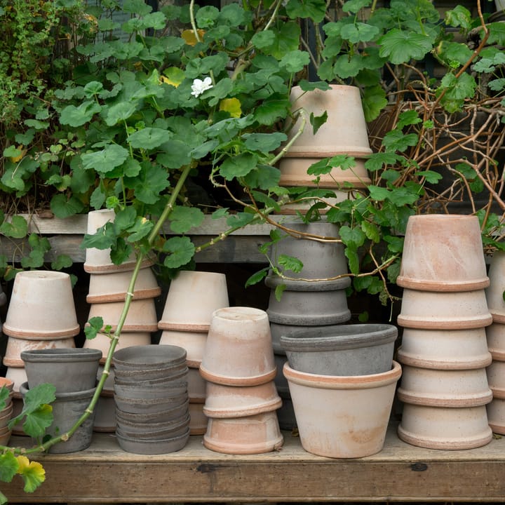 Parade krukke Ø15 cm, Lyserød Bergs Potter