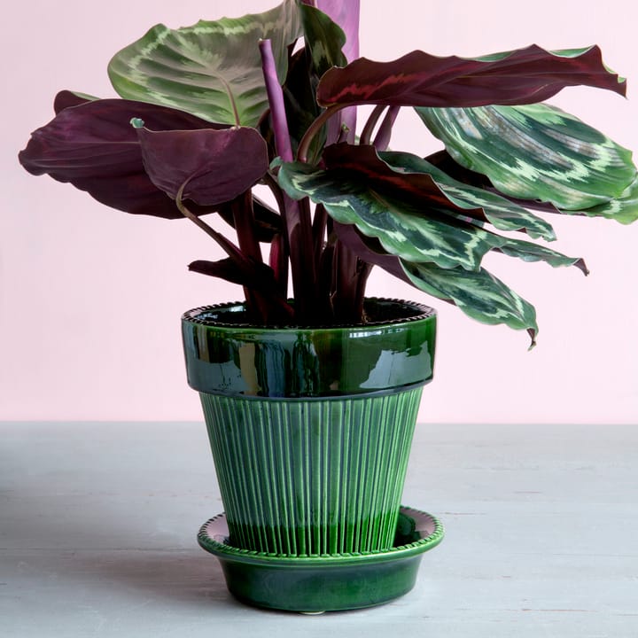 Simona blomsterkrukke glaseret Ø16 cm, Grøn Bergs Potter
