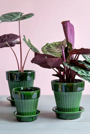 Simona krukke glaseret Ø18 cm - Green - Bergs Potter