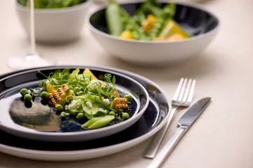 Bitz tallerken gastro Ø 21 cm - Hvid-mørkeblå - Bitz