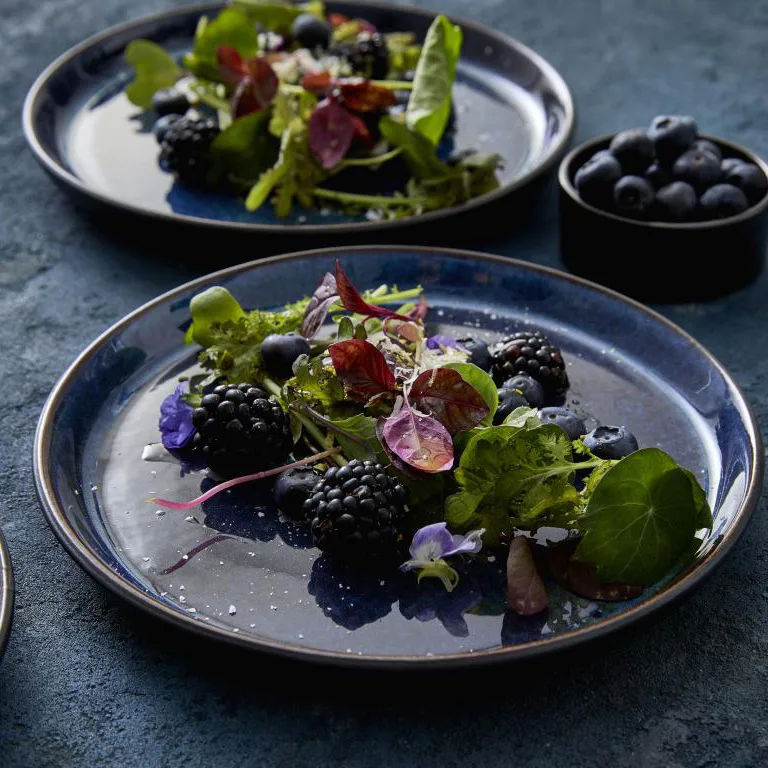 Bitz tallerken gastro Ø 21 cm, Sort-mørkeblå Bitz