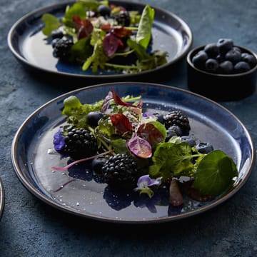 Bitz tallerken gastro Ø 21 cm - Sort-mørkeblå - Bitz