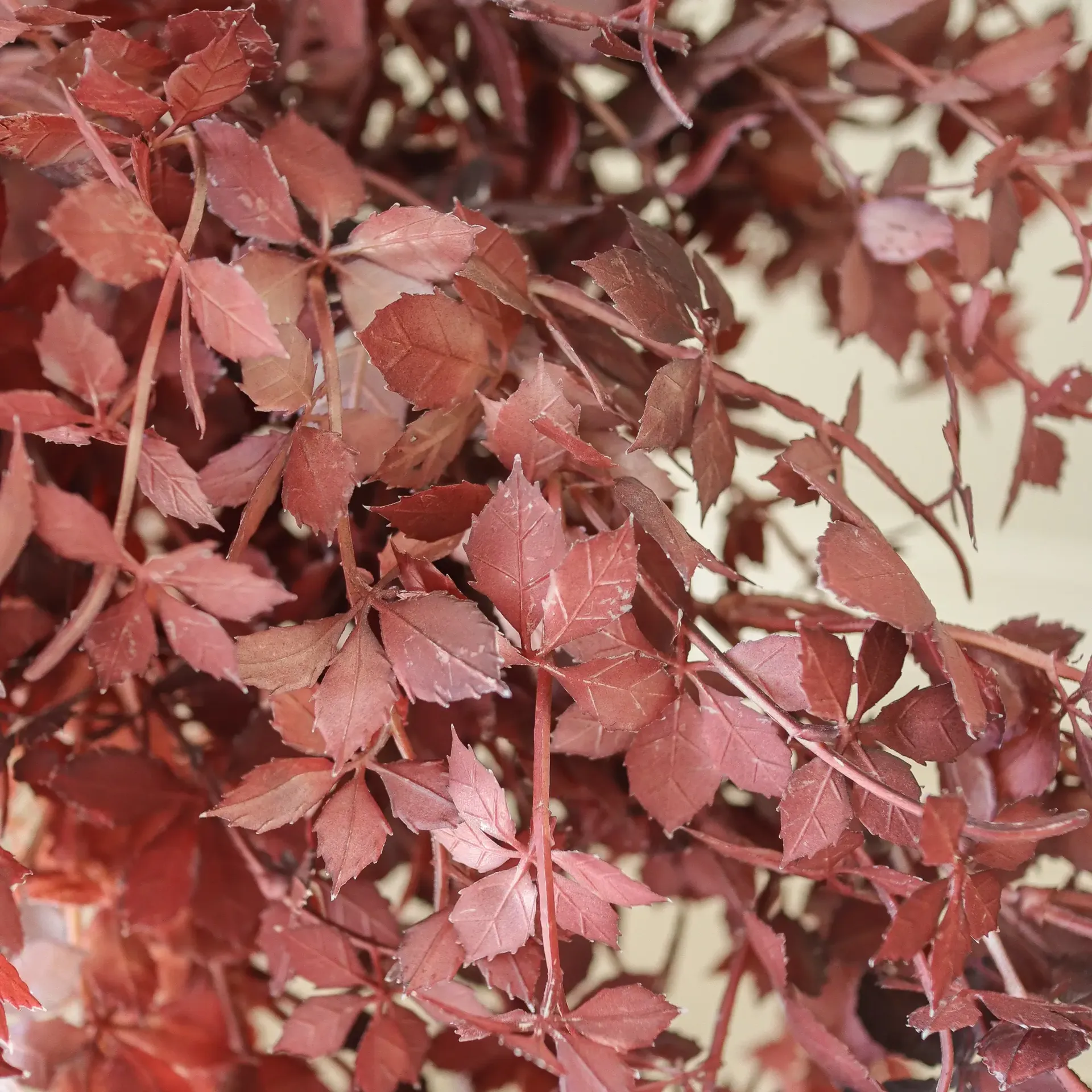 Burgundy Maple Branch kunstig buket, 107 cm, 4 stk. Botané