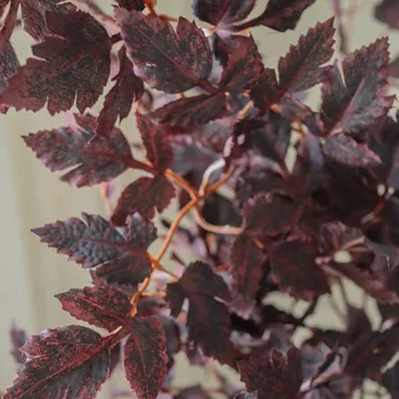 Burgundy Plum Leaves kunstig buket - Red, 85 cm, 1 stk. - Botané