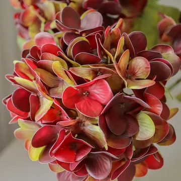 Hortensia kunstig blomst - Deep burgundy, 60 cm, 1 stk - Botané