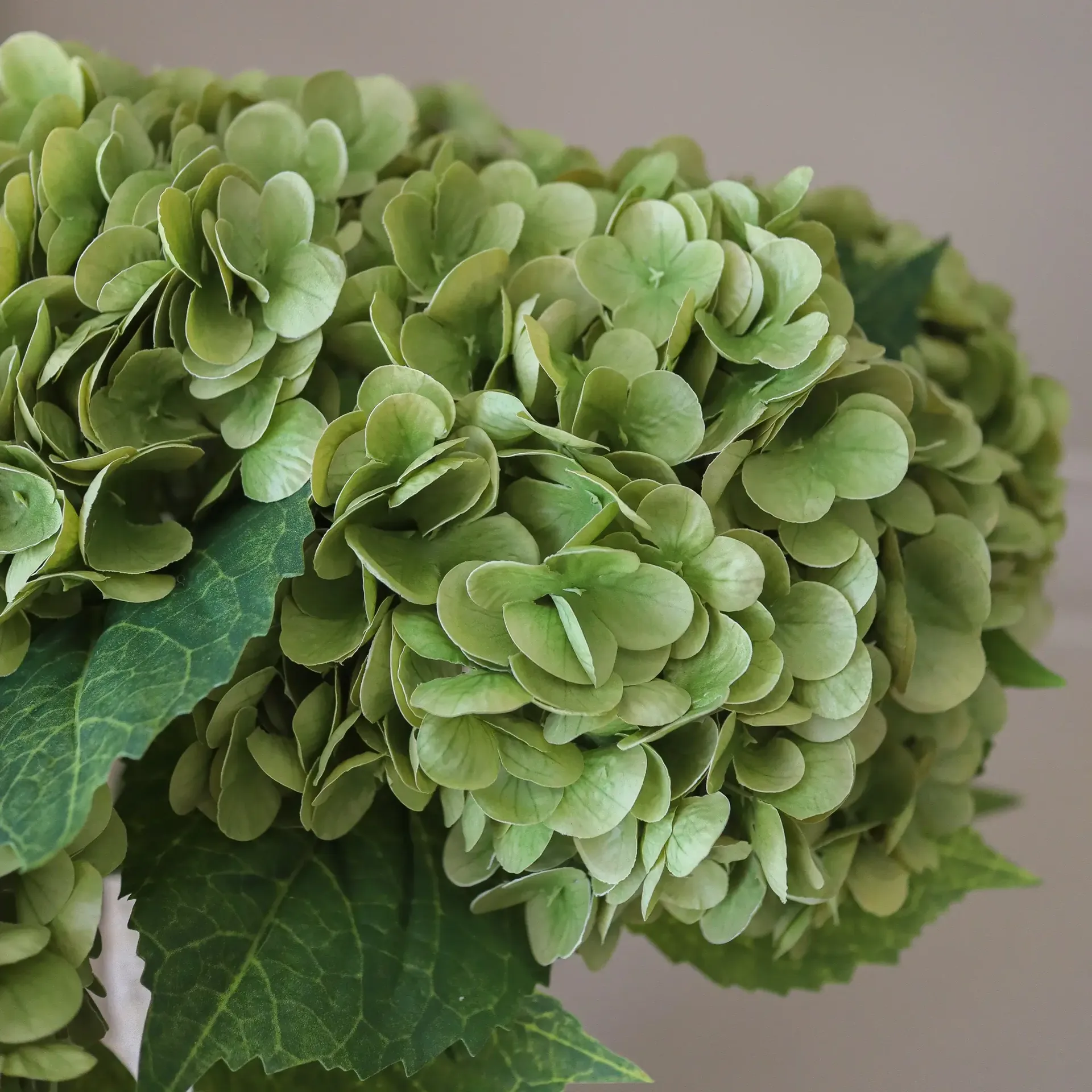 Hortensia kunstig buket, Mosgrøn, 51 cm, 6 stk. Botané