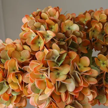 Hortensia kunstig buket - Orange, 60 cm, 6 stk. - Botané