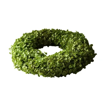 Hortensia Wreath blomsterkrans - Lysegrøn, Ø40 cm - Botané