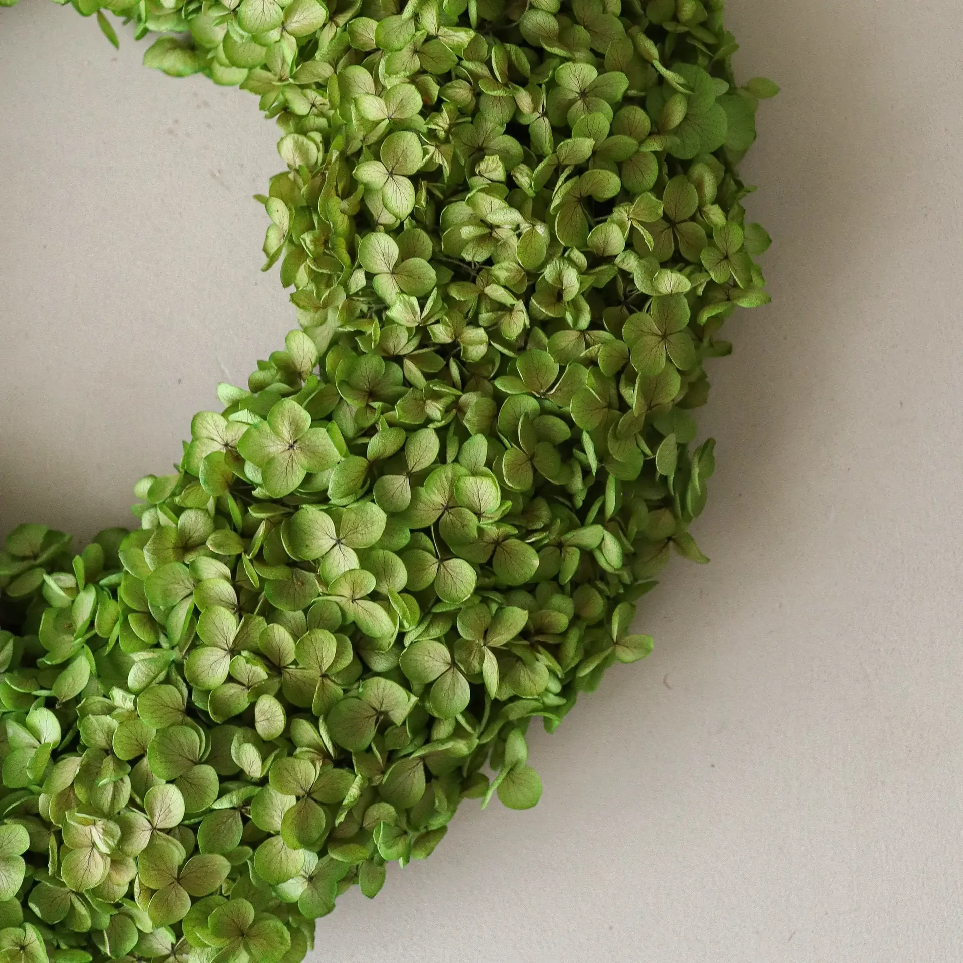 Hortensia Wreath blomsterkrans, Lysegrøn, Ø40 cm Botané
