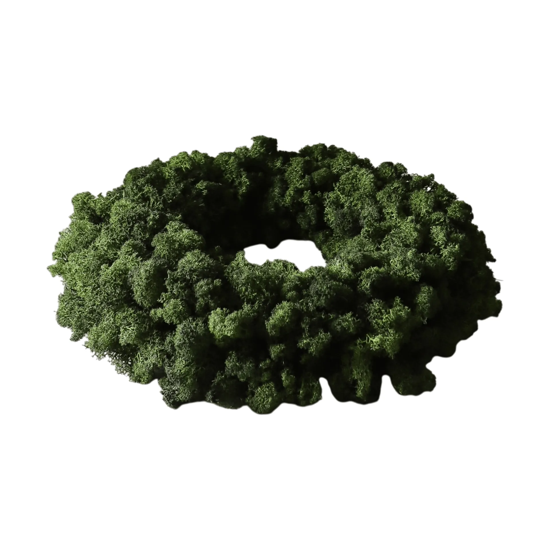 Moss Wreath mossekrans, Green, Ø40 cm Botané