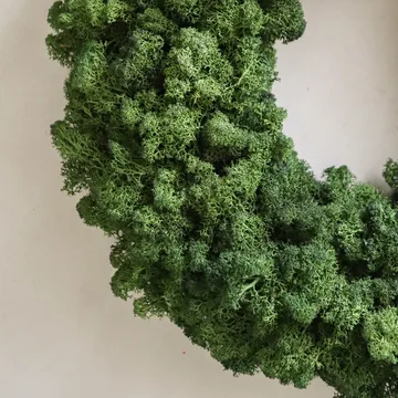 Moss Wreath mossekrans - Green, Ø40 cm - Botané