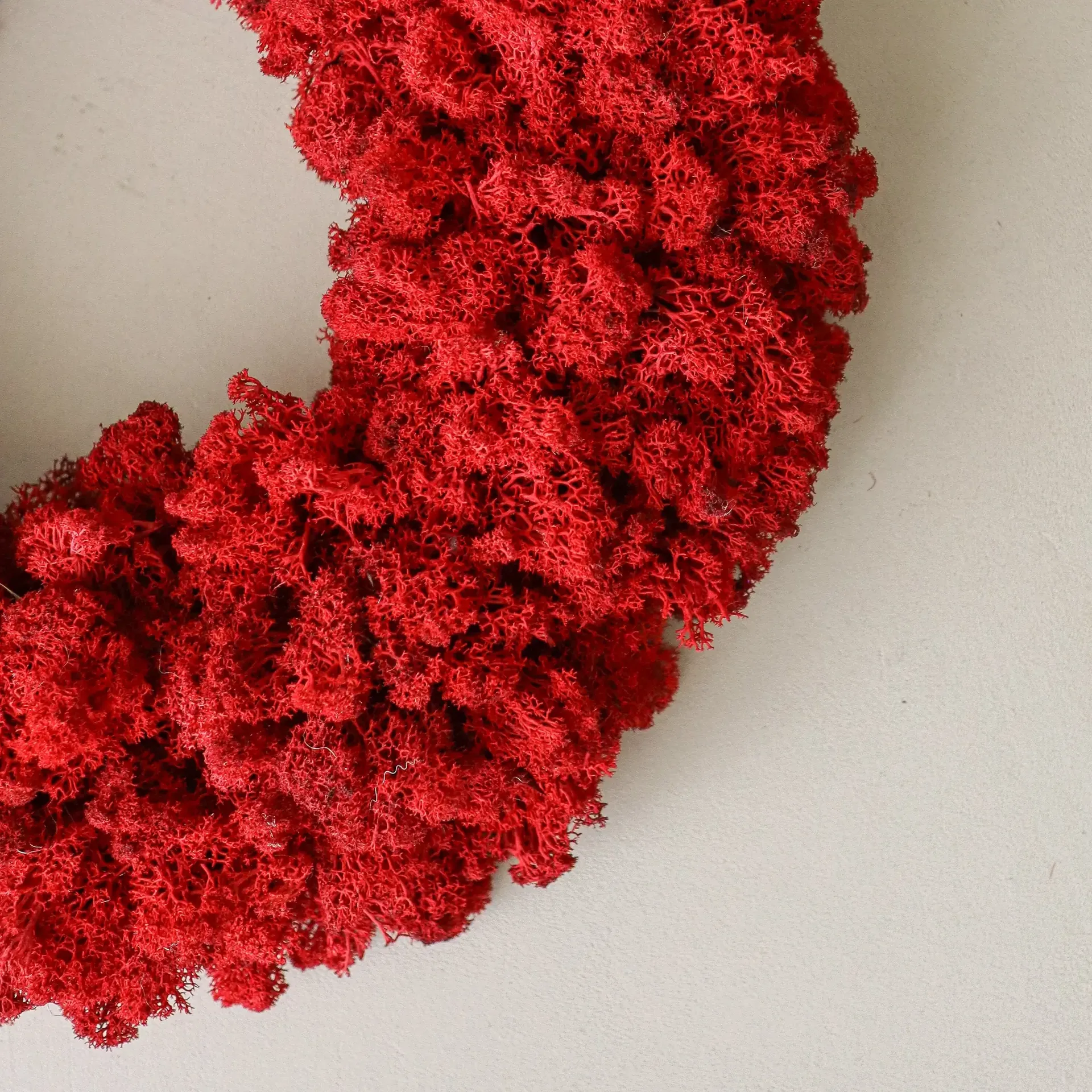 Moss Wreath mossekrans, Red, Ø40 cm Botané