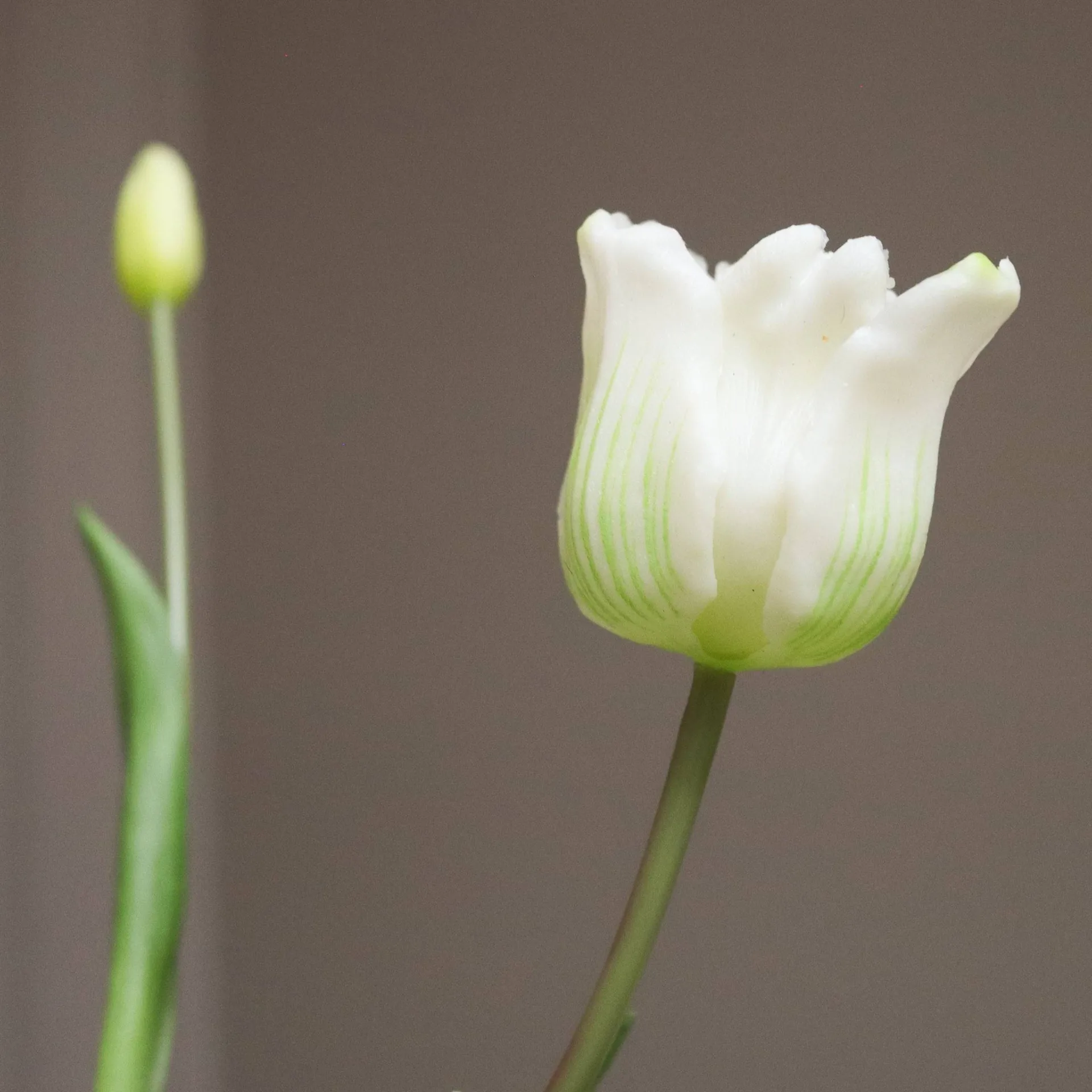 Tulipaner triumph kunstig buket, Hvid, 10 stk Botané