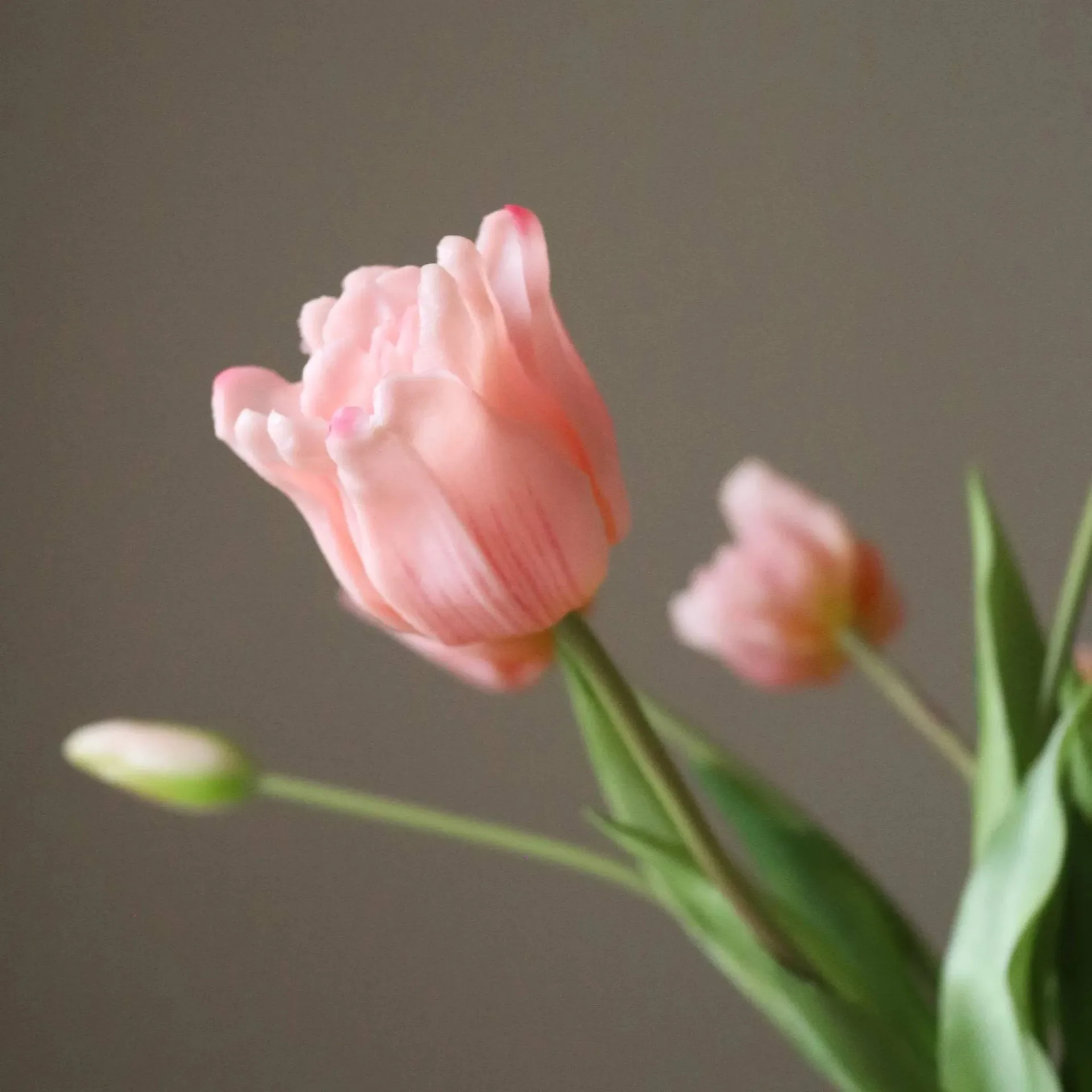 Tulipaner triumph kunstig buket, Lyserød, 10 stk Botané