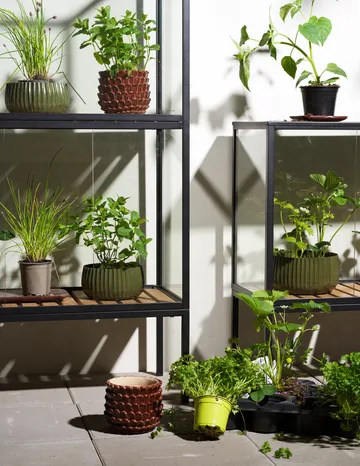 Grower Greens planteskab - Sort, 81x137 cm - Brafab