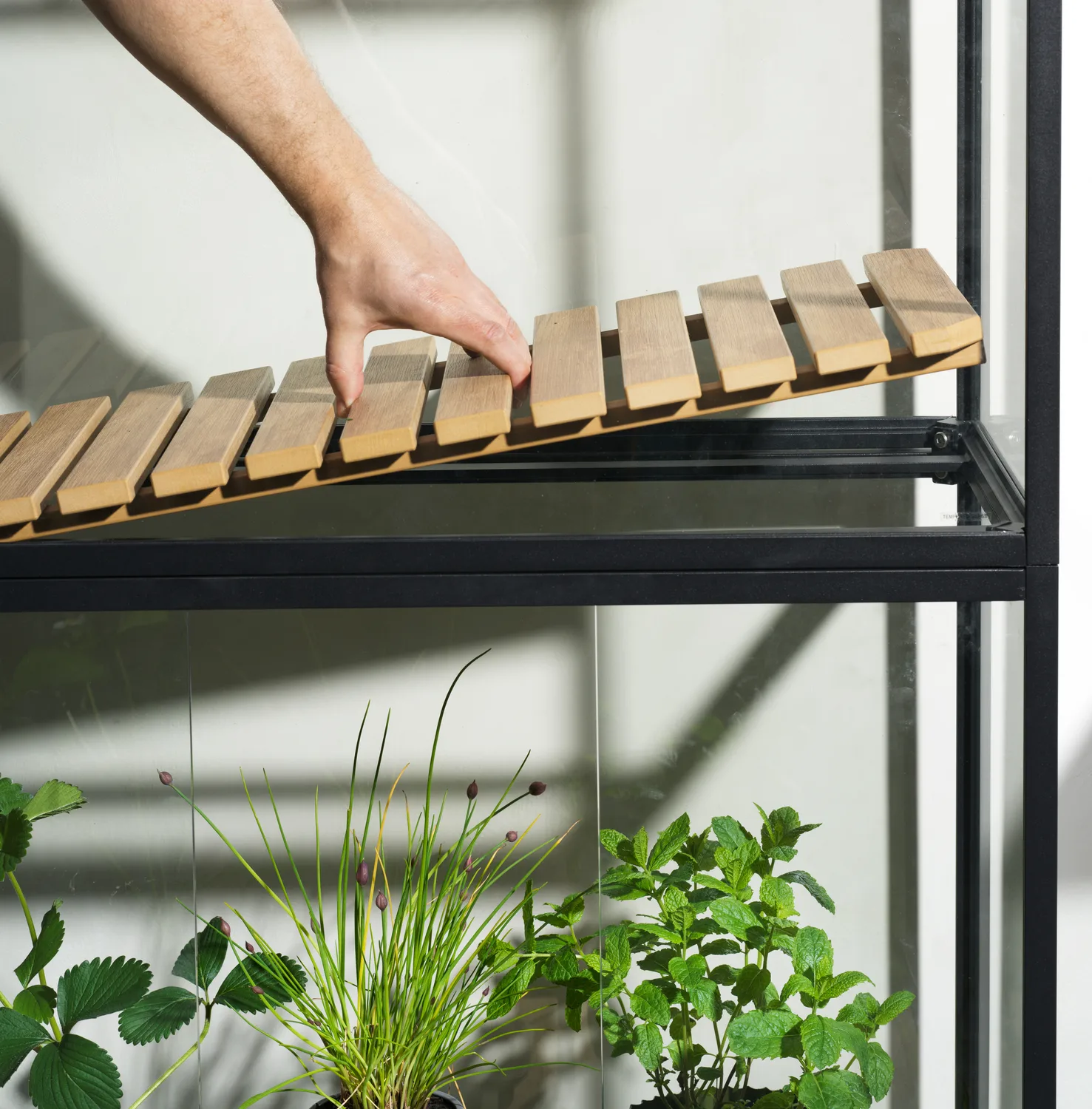 Grower Greens planteskab, Sort, 81x137 cm Brafab